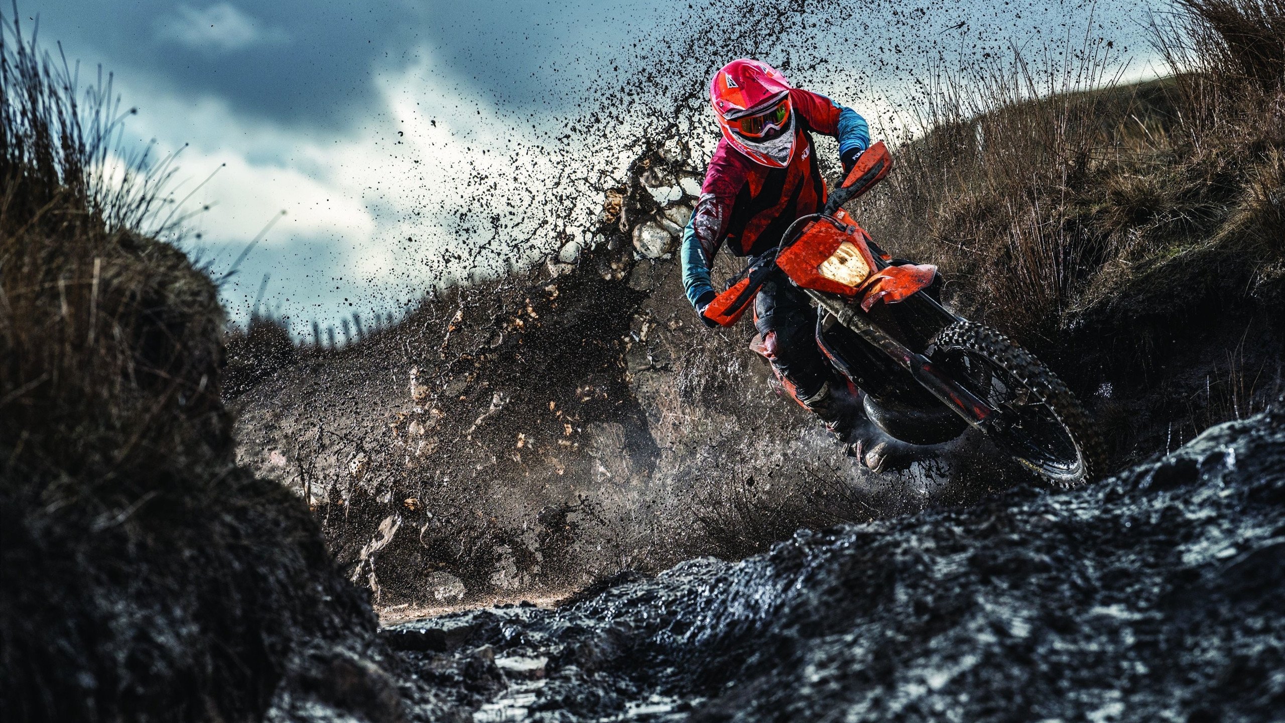 法国队前途光明！Doinb新星反败为胜表现突出观众掌声雷动九游官方网站,